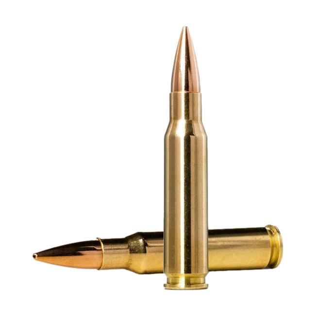 Norma Golden Target .308 Win. 10.9g 168gr 20 Schuss